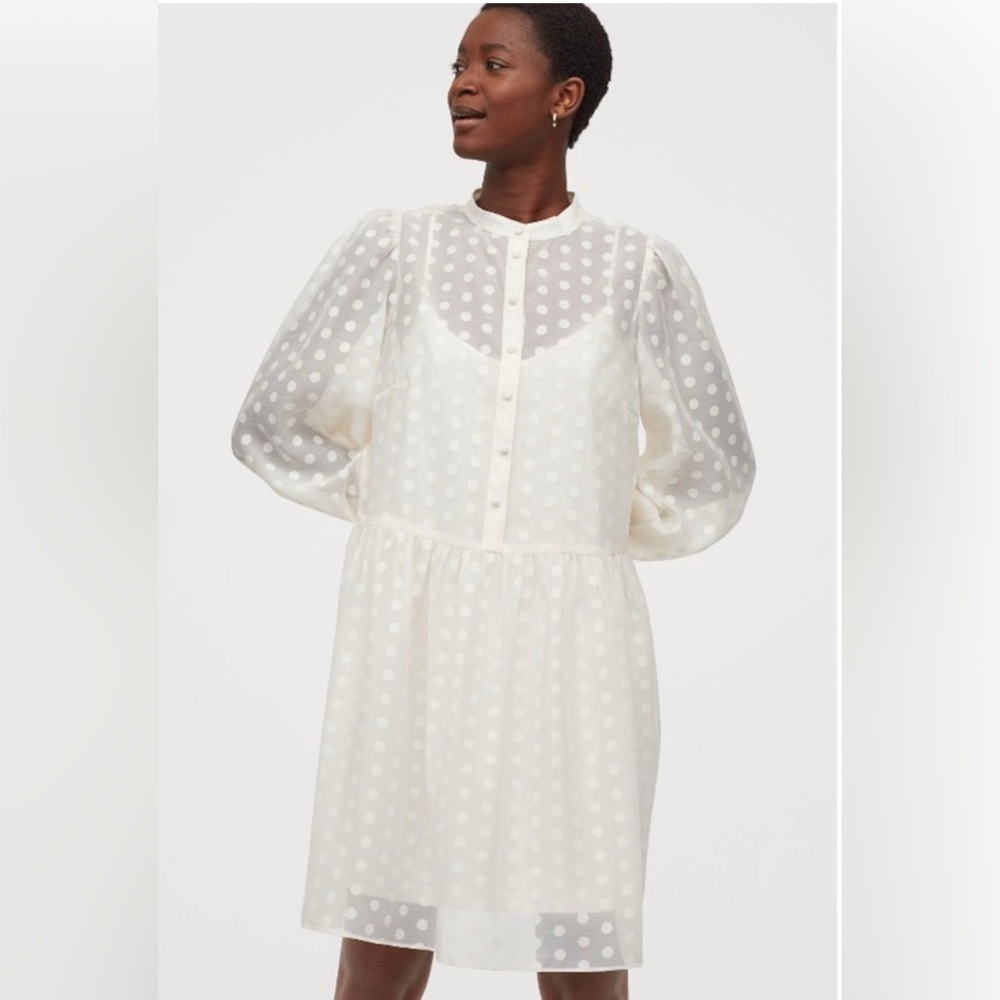 Polka Dot Puff Sleeve Dress